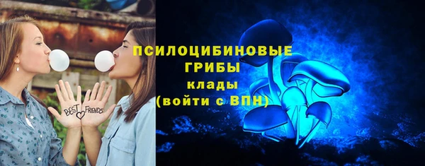 а пвп мука Алзамай